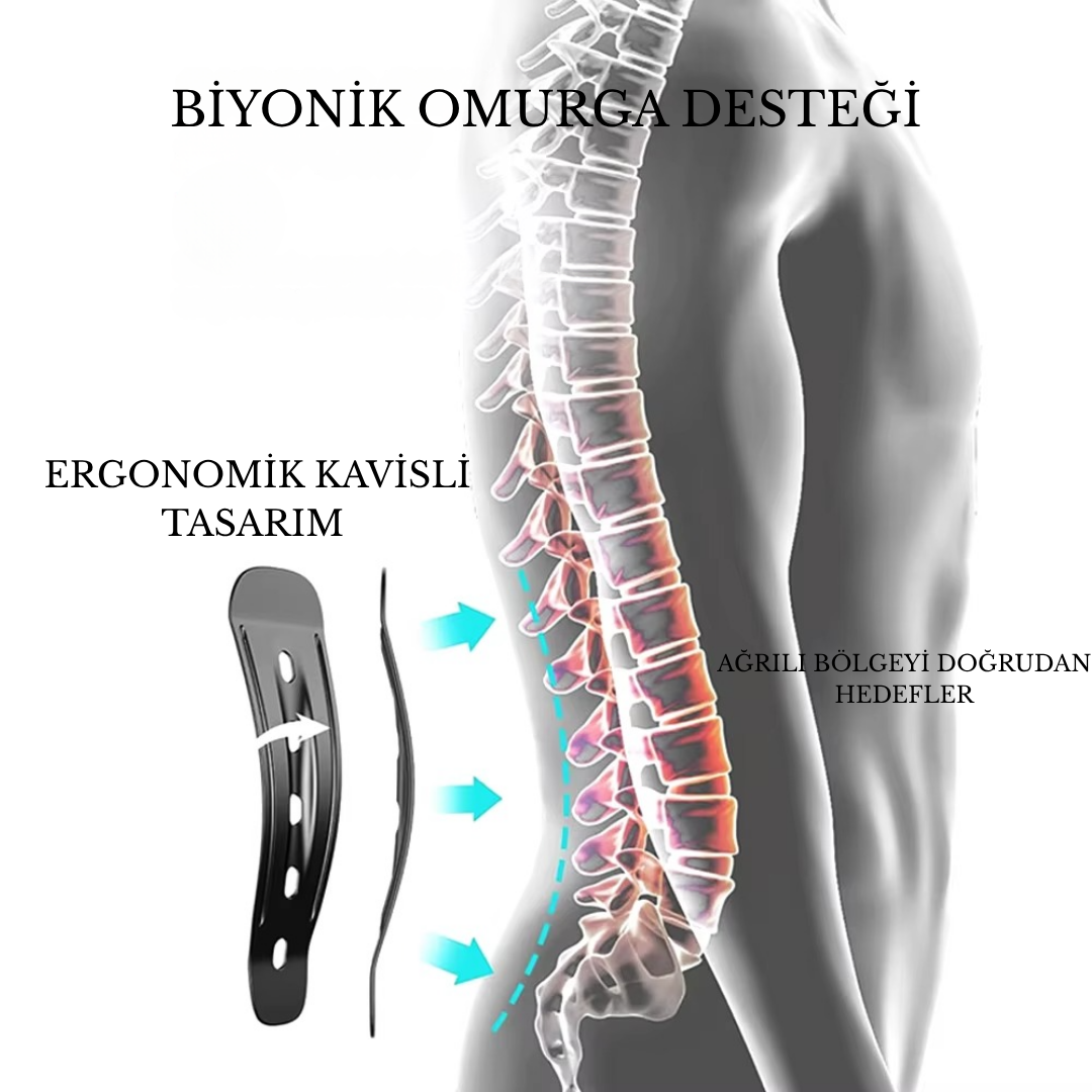 CM® Back Support Belt